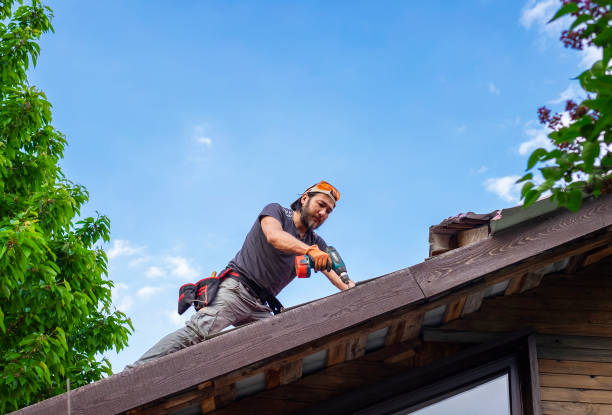 Best Storm Damage Roof Repair  in Shiner, TX
